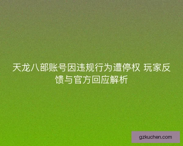 天龙八部账号因违规行为遭停权 玩家反馈与官方回应解析